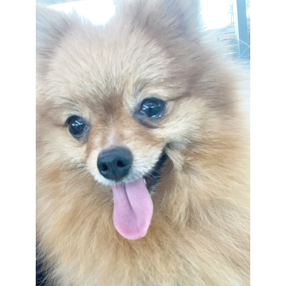 Ｗａｎ活で生徒が撮影した写真♪②